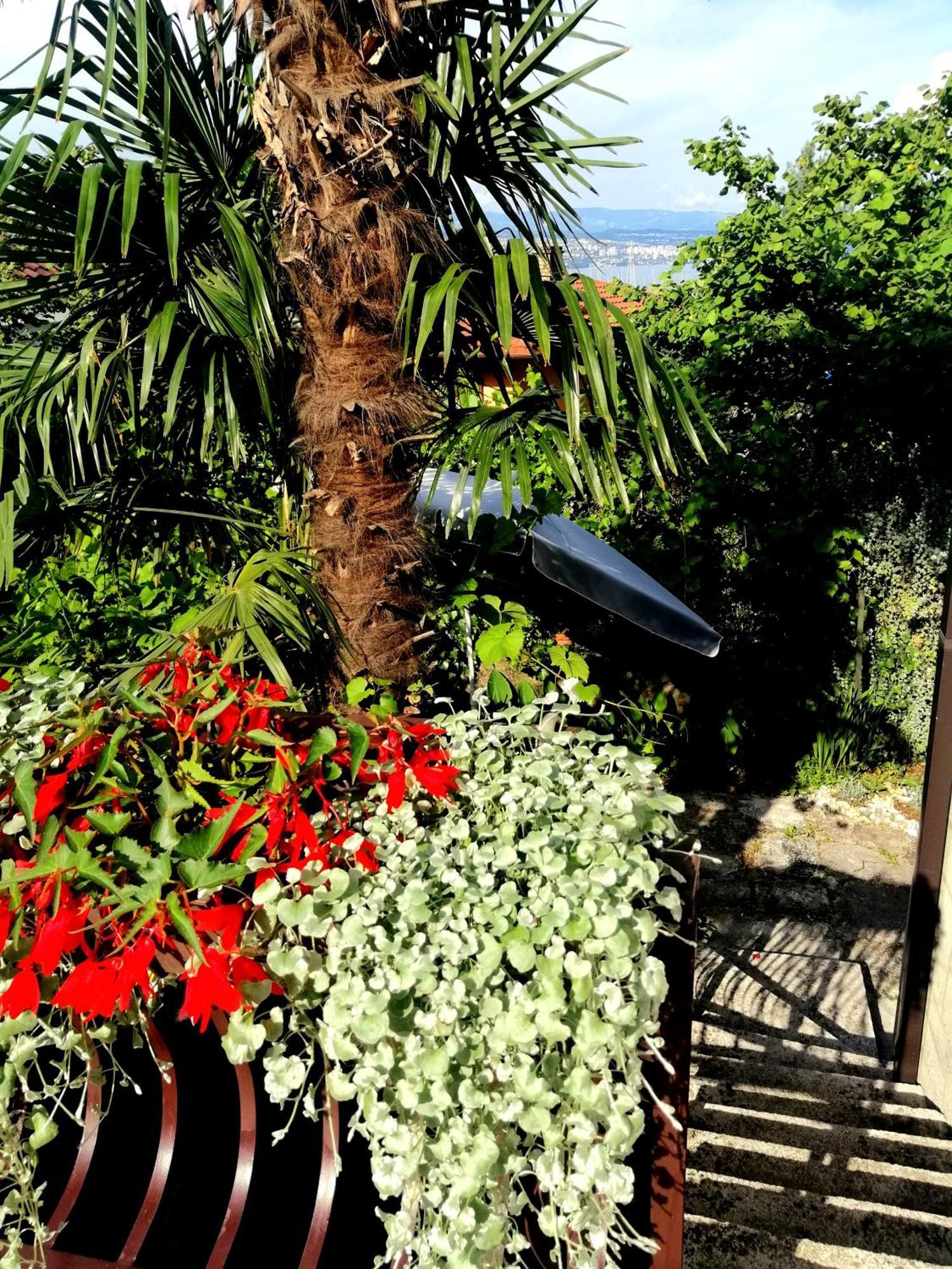 Apartament Sea Garden *