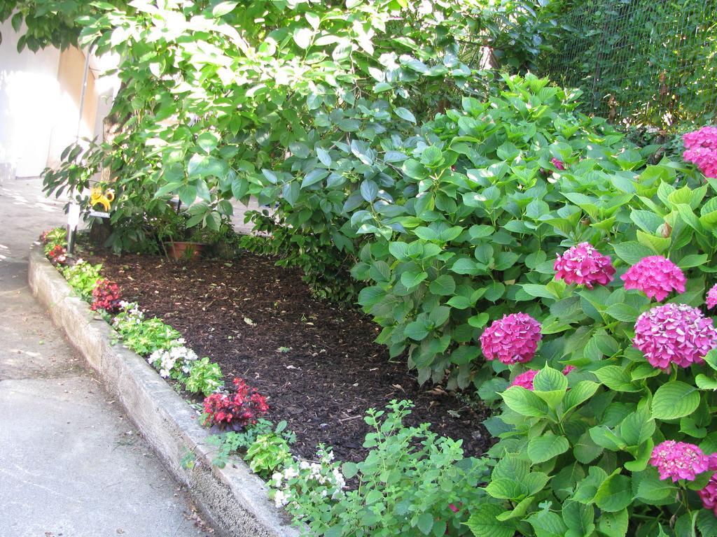 Apartament Sea Garden