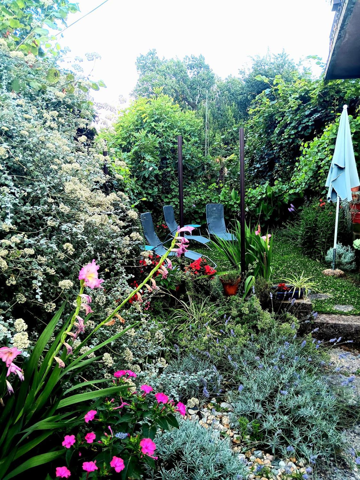Apartment Apartment Sea Garden *